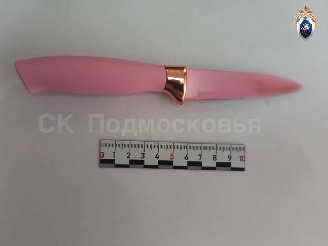 СК Московской области расследует дело об убийстве 33-летнего мужчины в Егорьевске