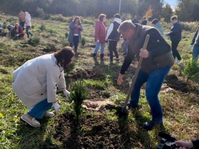 В деревне Коченягино неравнодушные жители высадили 580 саженцев хвойных деревьев