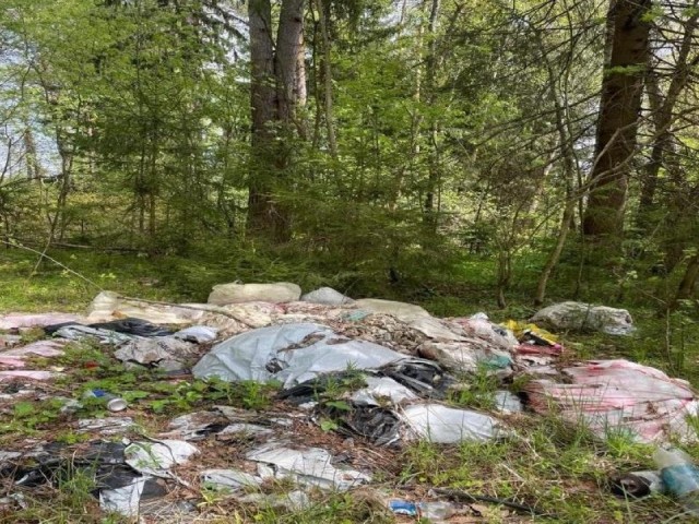 Суд в Мытищах рассмотрит иск о незаконной свалке