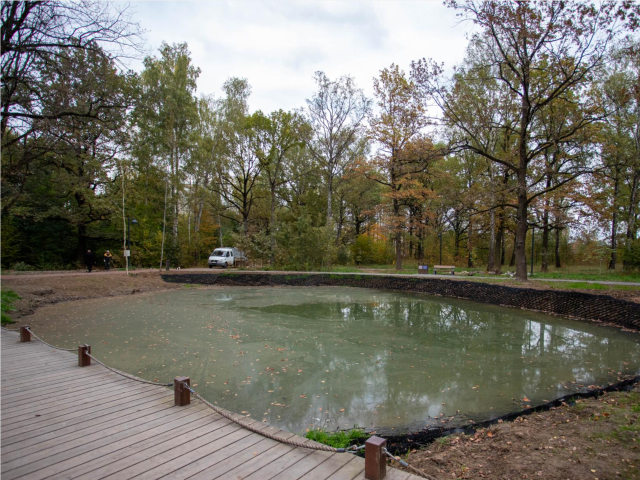 Водоплавающие птицы смогут вернуться в восстановленный городской пруд