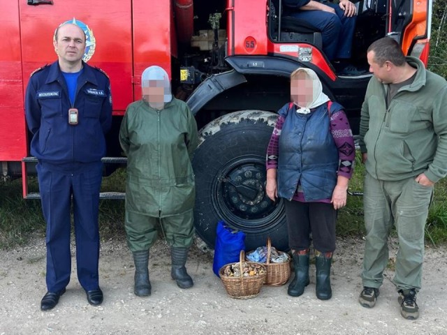 Спасатели за сутки вывели из лесов Можайска троих потерявшихся грибников