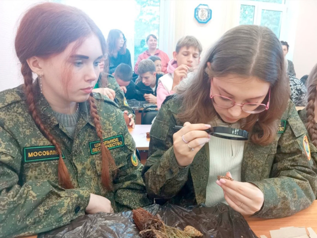 Зарайские школьники участвуют в областном слете лесничеств в Левково
