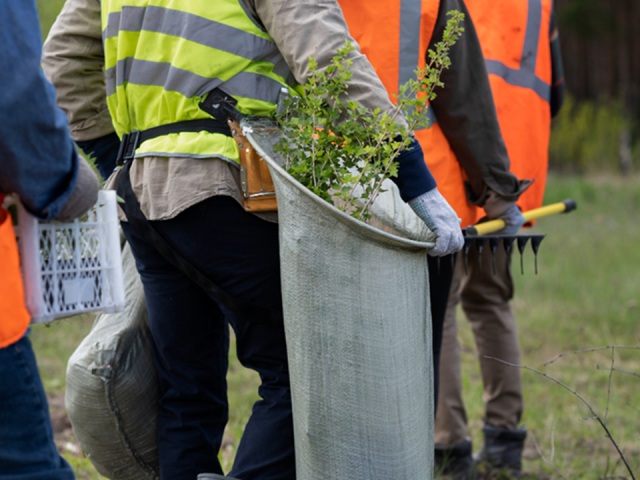В Серпухове начались работы по уборке и озеленению городских территорий