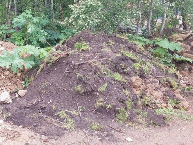 Суд обязал жителя Талдома выплатить штраф за свалку