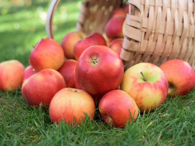 Какие продукты не помогут при железодефицитной анемии у детей