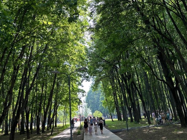 В Солнечногорске всю предстоящую неделю будет теплая и сухая погода