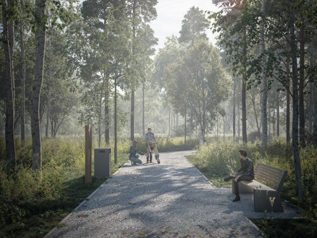 В Мытищах начали создавать новую зону отдыха в Пироговском лесопарке