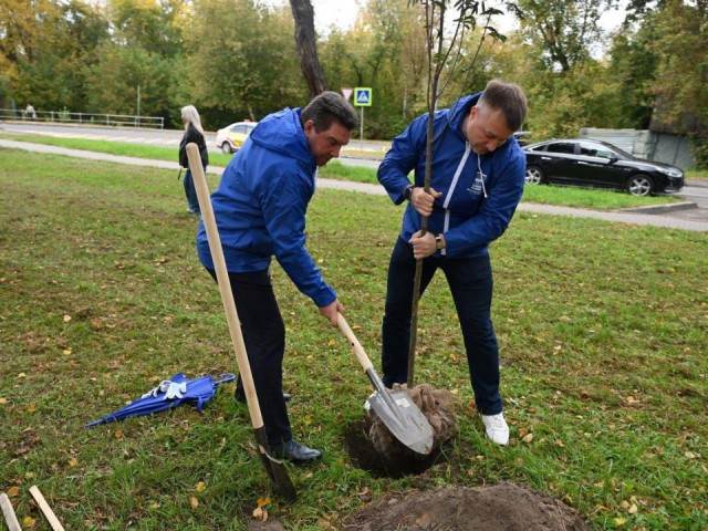 В Серпухове высадили 120 саженцев в рамках акции «День в лесу, сохраним лес вместе»