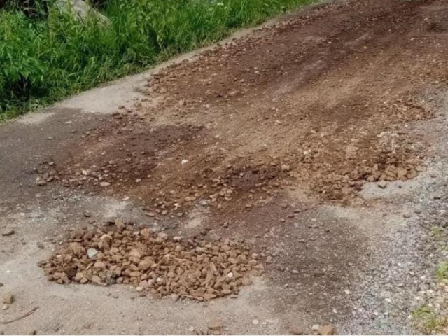 Владельцам садовых участков указали на недопустимость захламления территорий