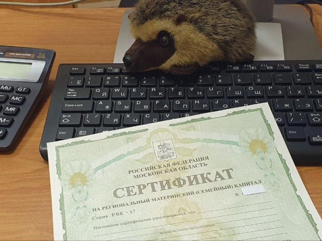 Щелковские семьи инвестируют в образование детей через материнский капитал
