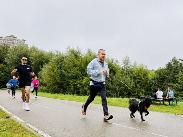 Забег в парке Клина превратился в акцию помощи хвостатым