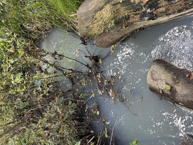 В Чехове управляющей компании вынесли предостережение за сброс стоков в реку