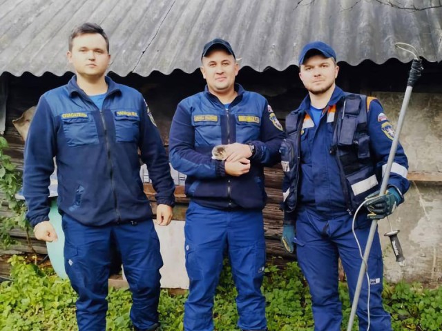 Щелковские спасатели вытащили застрявшего котенка из дымохода в частном доме