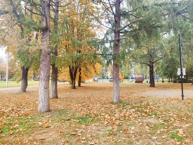 Погода в Котельниках 29 сентября 2025 года