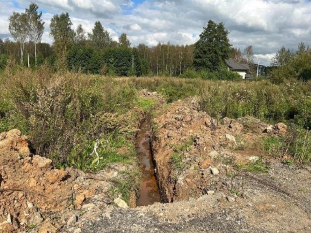 В Богородском округе выявили незаконную свалку