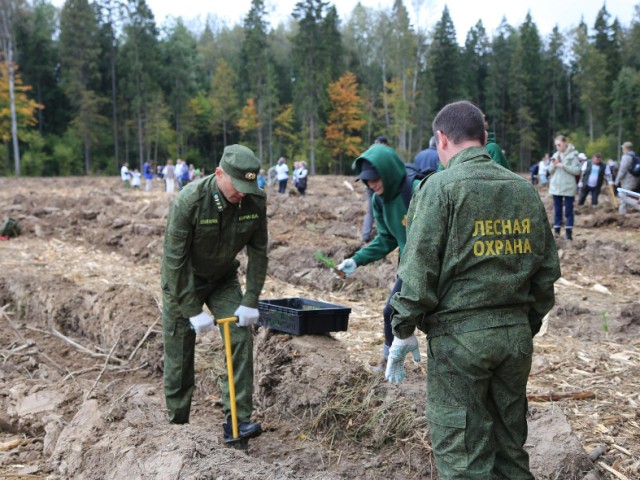 Акция «Сохраним лес вместе» собрала в Подмосковье тысячи участников