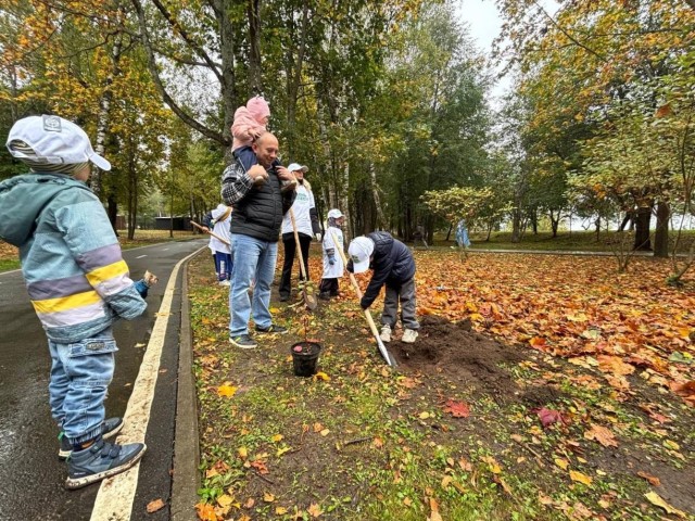 Более 300 деревьев высадили неравнодушные жители на набережной Волги в Дубне