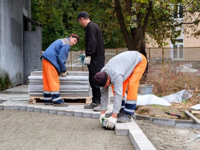 В Лыткарине откроют новый сквер с LED-освещением и 350 растениями
