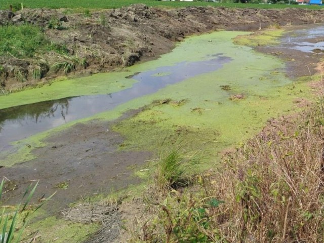 Рузских нарушителей оштрафовали за слив стоков на землю