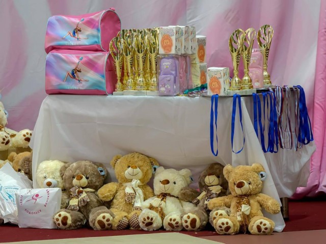 Подольские гимнастки взяли 14 медалей на соревнованиях