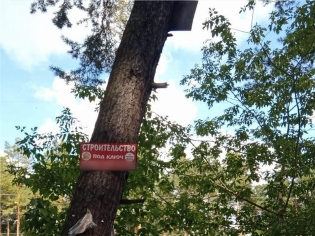 Лесничие нашли рекламу на деревьях вблизи деревни Коротково