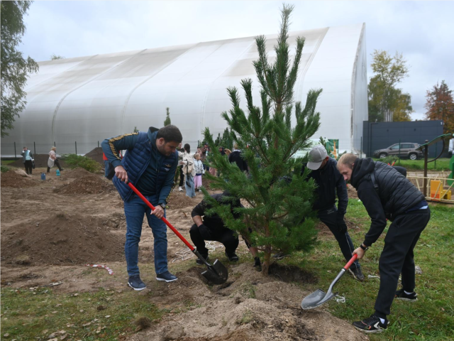 Возле стадиона «Металлург» создали новую зеленую зону
