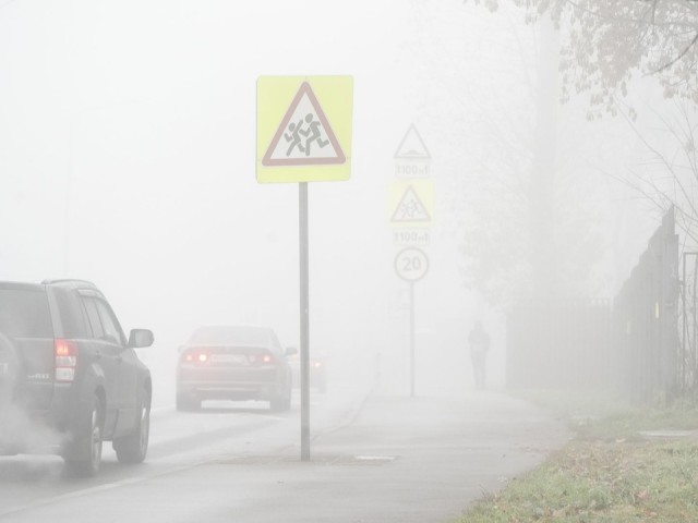 Утренний туман не испортит день: синоптики рассказали о погоде в Подмосковье 6 сентября