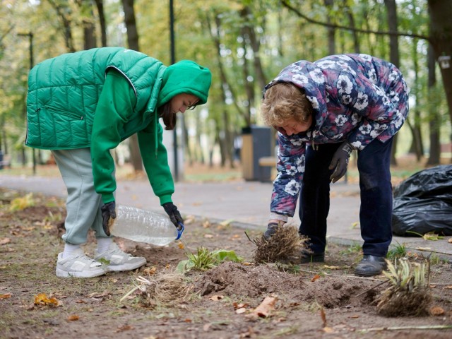 Свердловский парк пополнился новыми растениями