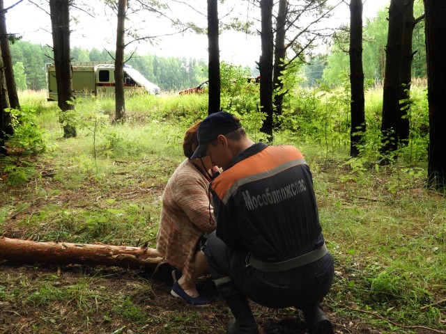 Спасатели вывели из шатурского леса заблудившуюся женщину