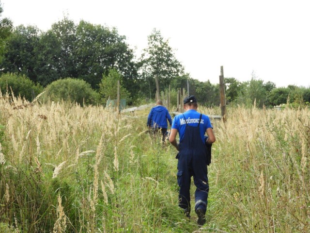 Спасатели вывели из леса мужчину, заблудившегося в лесу Волоколамского округа