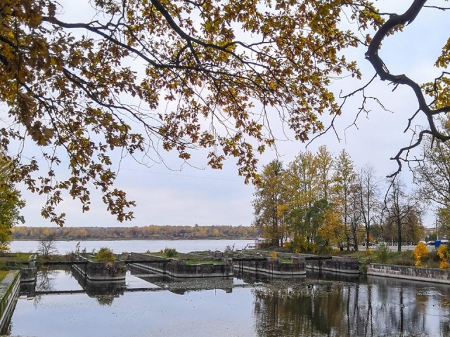 Пасмурно, тепло и местами дождливо: раскрыт прогноз погоды в Подмосковье на ближайшие дни