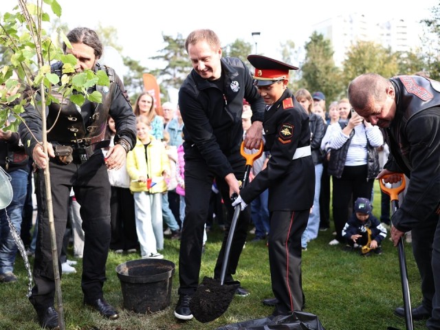 Жители Нахабина высадили деревья в сквере Инженерных бригад