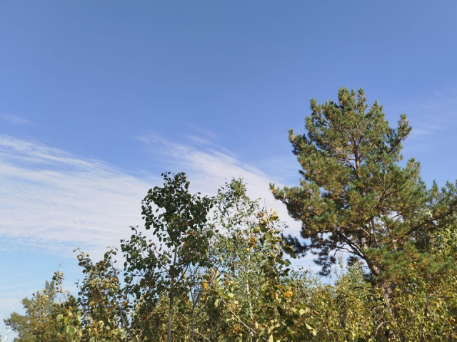 Придет ли в Подмосковье в ближайшие дни похолодание до -2°С