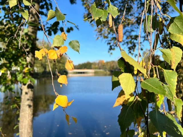 Погода в Котельниках 26 сентября 2025 года