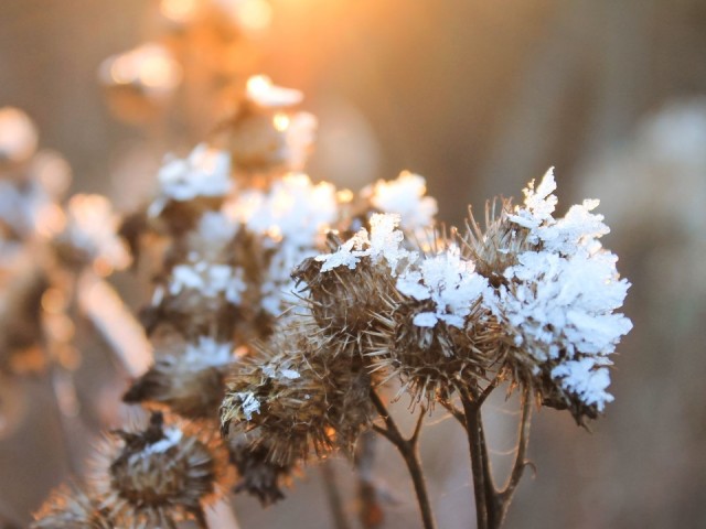 Синоптик пообещал Подмосковью неделю ясных дней и холодных ночей