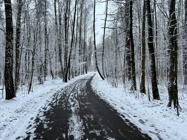 Когда в Подмосковье выпадет первый снег и какой будет зима