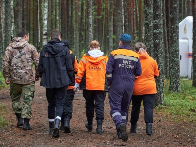 В окрестностях Королева ищут пропавшую бабушку