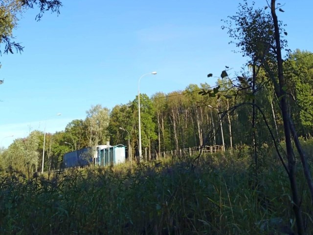 В Ступине завершили уборку неликвидной древесины для оздоровления лесопарка