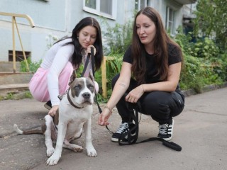 Городские волонтеры помогли военнослужащему эвакуировать щенка с фронта