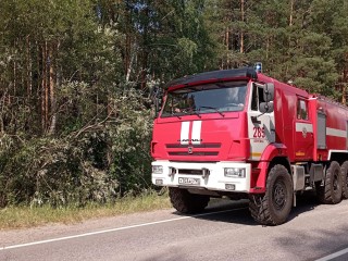 Спасатели нашли мужчину, который заблудился в Егорьевском лесу