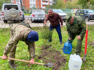 Двенадцать хвойных деревьев высадили в парке «Мечта» в Селятине
