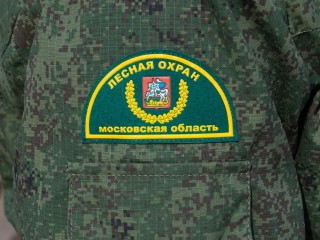 Молодежь Волоколамска открыла для себя профессию лесничего и экологию родного края