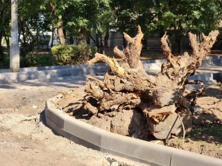 Двор на Октябрьской улице в Старой Купавне преобразится к октябрю