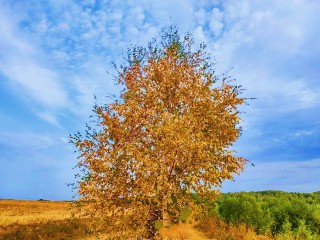 Синоптики в шоке: резкое похолодание и ливни атакуют Подмосковье
