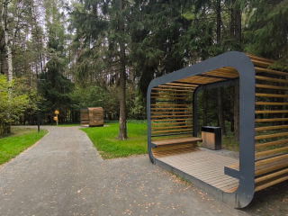 Редкую встречу с куницей запечатлел фотограф из Апрелевки