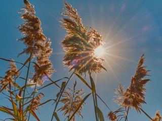 Днем под +25°C, ночью ниже +8°C: чем опасна первая неделя сентября в Подмосковье