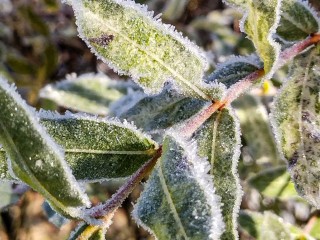Подмосковье ожидает резкий перепад температур с +15°C до +0°C
