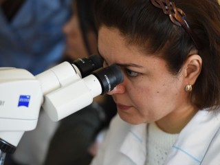 Зафиксированы первые случаи заражения вирусом чикунгунья у вернувшихся туристов