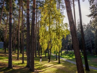 Летняя погода с температурой до +25°C установится в Подмосковье до конца недели
