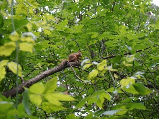 Осенние программы и игры ждут жителей в городском парке